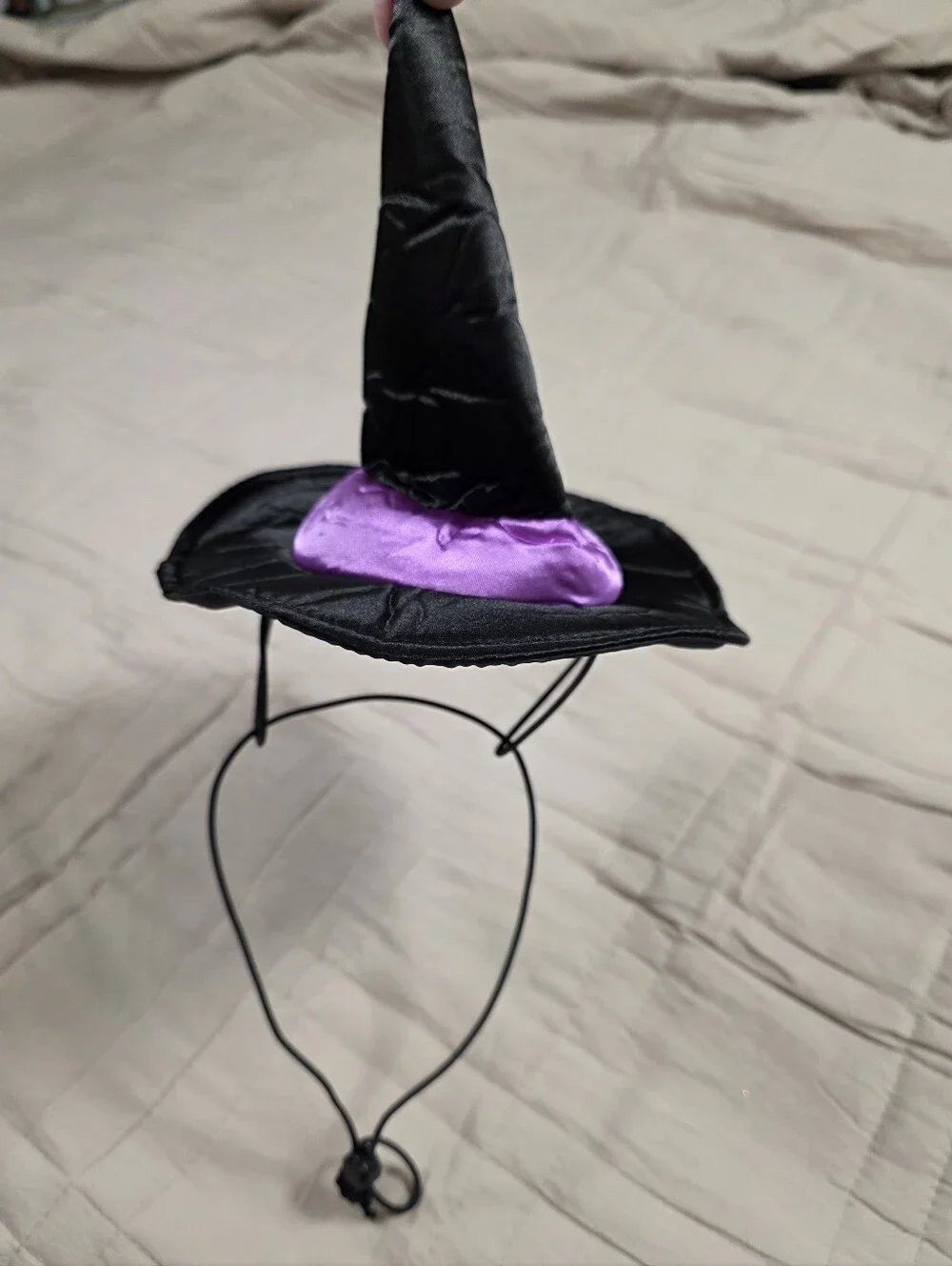 Witch Hat And Collar Costum/Accessories For Dog M/L Black Purple